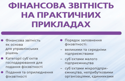 Річна фінансова звітність на практичних прикладах