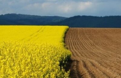 Огляд змін до Земельного кодексу та Закону про оренду землі